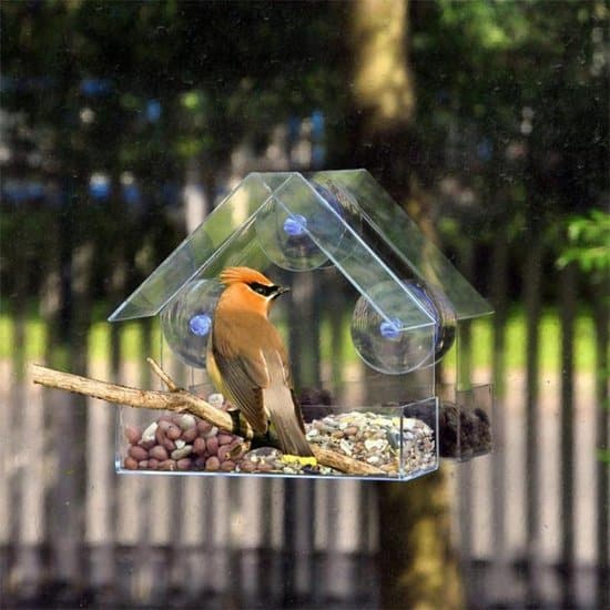 cursief Gezag Aanhankelijk De 5 beste voederhuisjes voor vogels: onze favorieten - Populus