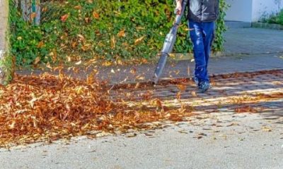 Beste bladblazers om je tuin op te ruimen