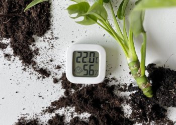 Beste vochtmeters voor planten
